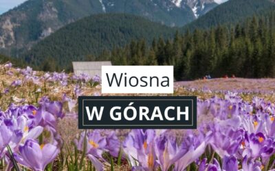 Wiosna w Tatrach